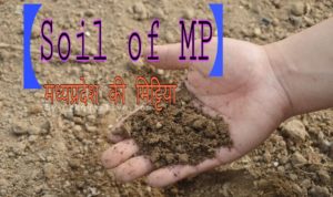 Madhya Pradesh की मिट्टियां (soils of MP)