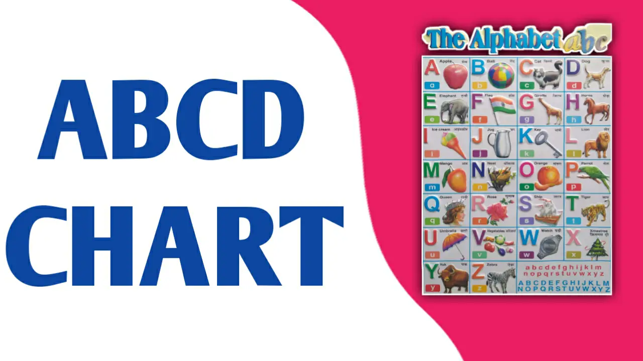 Abcd Chart, 1st 2nd 3rd 4rt Type abcd | ABCD Alphabet Hindi